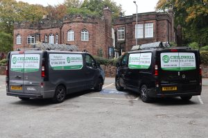 Picture of both vans